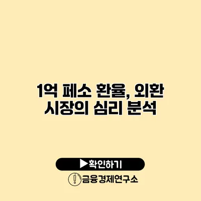 1억 페소 환율, 외환 시장의 심리 분석