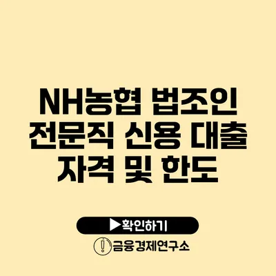 NH농협 법조인 전문직 신용 대출 자격 및 한도