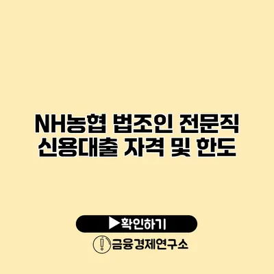NH농협 법조인 전문직 신용대출 자격 및 한도