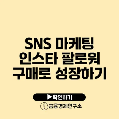 SNS 마케팅 인스타 팔로워 구매로 성장하기