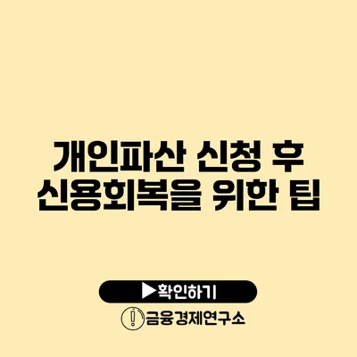 개인파산 신청 후 신용회복을 위한 팁