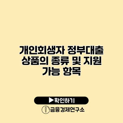 개인회생자 정부대출 상품의 종류 및 지원 가능 항목