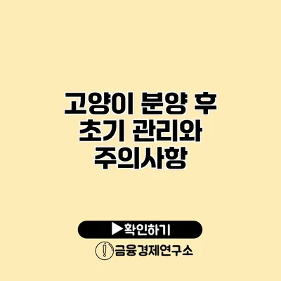 고양이 분양 후 초기 관리와 주의사항