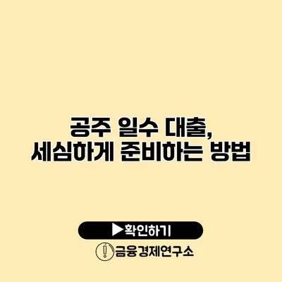 공주 일수 대출, 세심하게 준비하는 방법