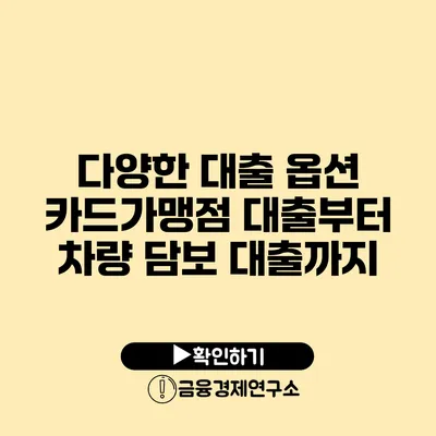 다양한 대출 옵션: 카드가맹점 대출부터 차량 담보 대출까지