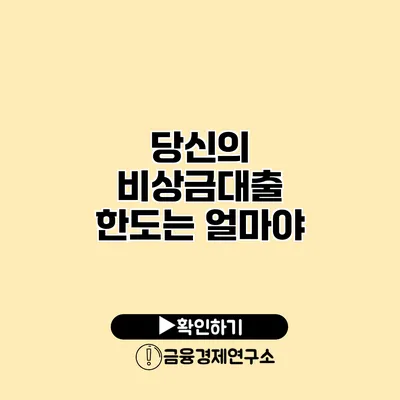 당신의 비상금대출 한도는 얼마야?