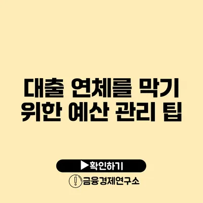 대출 연체를 막기 위한 예산 관리 팁