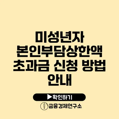 미성년자 본인부담상한액 초과금 신청 방법 안내