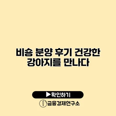 비숑 분양 후기 건강한 강아지를 만나다