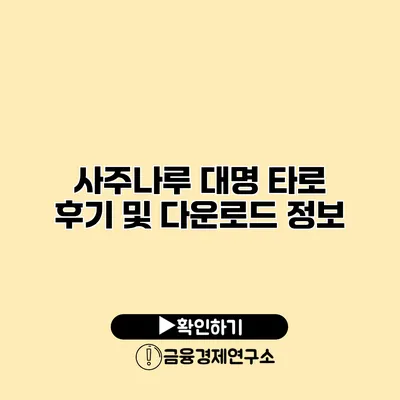 사주나루 대명 타로 후기 및 다운로드 정보