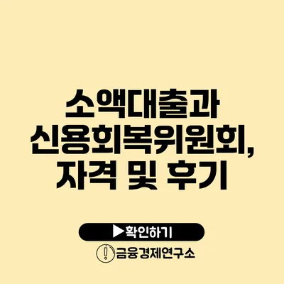 소액대출과 신용회복위원회, 자격 및 후기