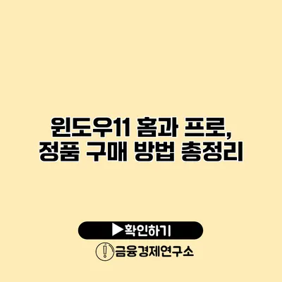 윈도우11 홈과 프로, 정품 구매 방법 총정리