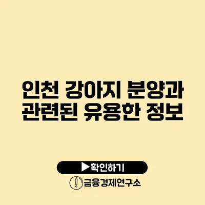 인천 강아지 분양과 관련된 유용한 정보