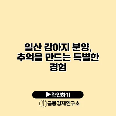 일산 강아지 분양, 추억을 만드는 특별한 경험