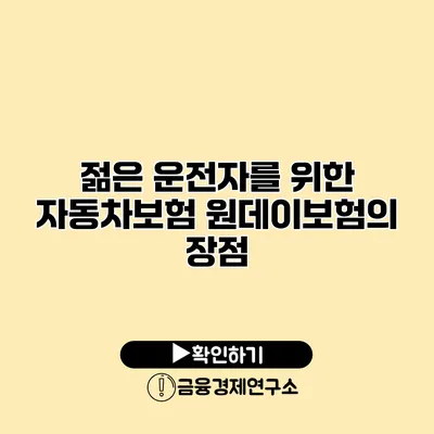 젊은 운전자를 위한 자동차보험 원데이보험의 장점