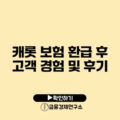 캐롯 보험 환급 후 고객 경험 및 후기
