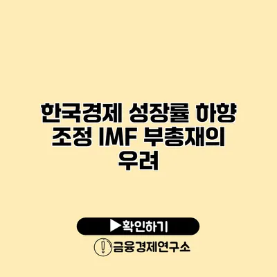 한국경제 성장률 하향 조정 IMF 부총재의 우려