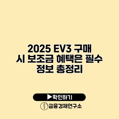 2025 EV3 구매 시 보조금 혜택은? 필수 정보 총정리