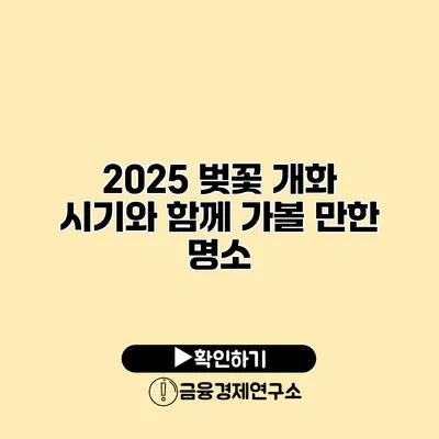 2025 벚꽃 개화 시기와 함께 가볼 만한 명소