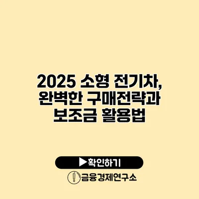 2025 소형 전기차, 완벽한 구매전략과 보조금 활용법