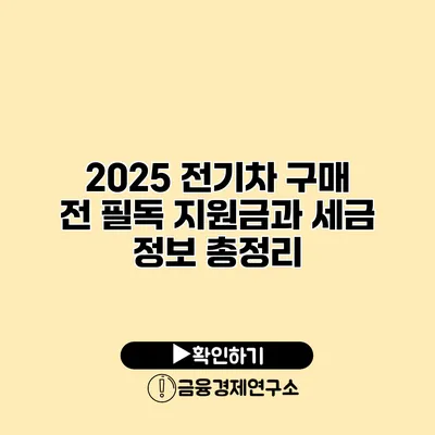 2025 전기차 구매 전 필독 지원금과 세금 정보 총정리