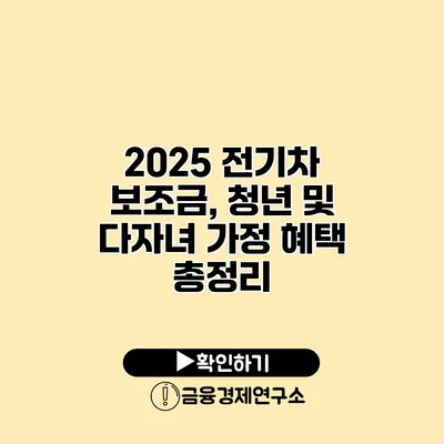 2025 전기차 보조금, 청년 및 다자녀 가정 혜택 총정리