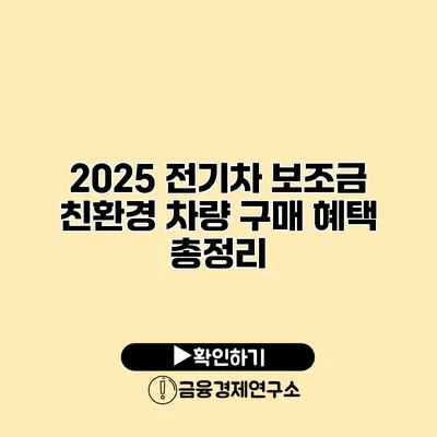 2025 전기차 보조금 친환경 차량 구매 혜택 총정리