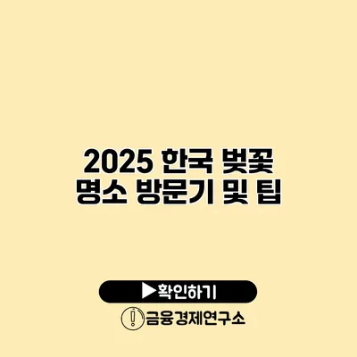 2025 한국 벚꽃 명소 방문기 및 팁