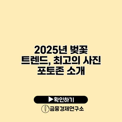 2025년 벚꽃 트렌드, 최고의 사진 포토존 소개