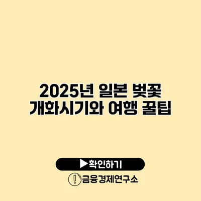 2025년 일본 벚꽃 개화시기와 여행 꿀팁