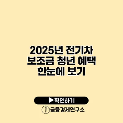 2025년 전기차 보조금 청년 혜택 한눈에 보기