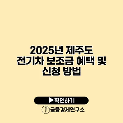 2025년 제주도 전기차 보조금 혜택 및 신청 방법