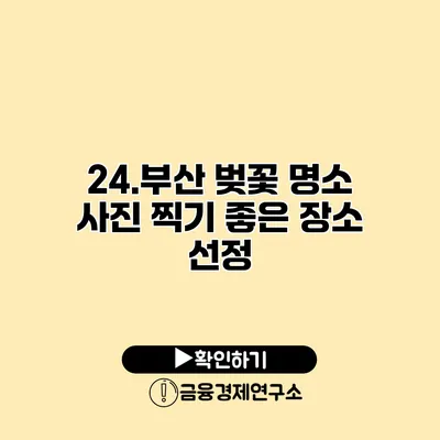 24.부산 벚꽃 명소 사진 찍기 좋은 장소 선정