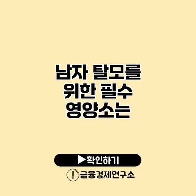 남자 탈모를 위한 필수 영양소는?