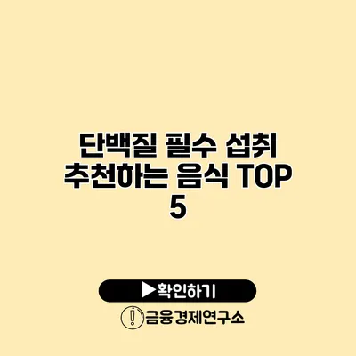 단백질 필수 섭취 추천하는 음식 TOP 5