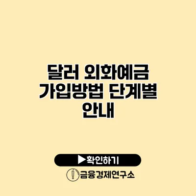 달러 외화예금 가입방법 단계별 안내