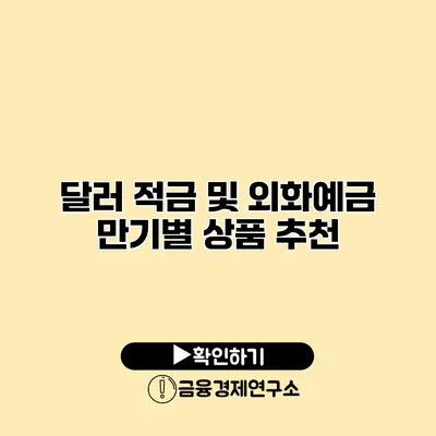달러 적금 및 외화예금 만기별 상품 추천