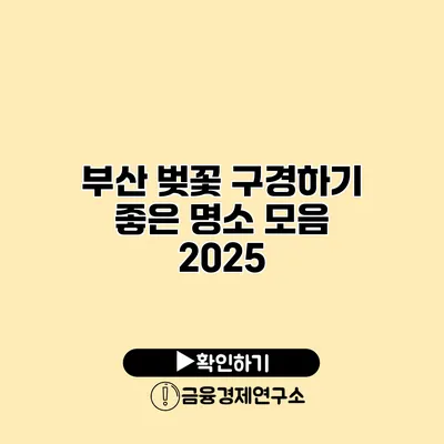 부산 벚꽃 구경하기 좋은 명소 모음 2025