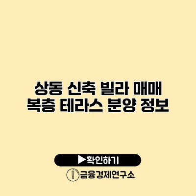 상동 신축 빌라 매매 복층 테라스 분양 정보