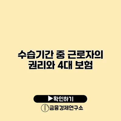 수습기간 중 근로자의 권리와 4대 보험