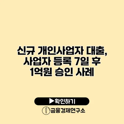 신규 개인사업자 대출, 사업자 등록 7일 후 1억원 승인 사례