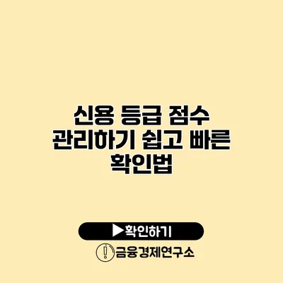 신용 등급 점수 관리하기 쉽고 빠른 확인법