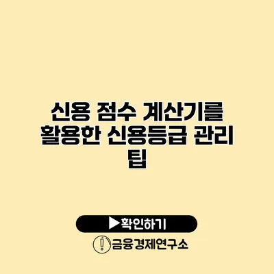 신용 점수 계산기를 활용한 신용등급 관리 팁
