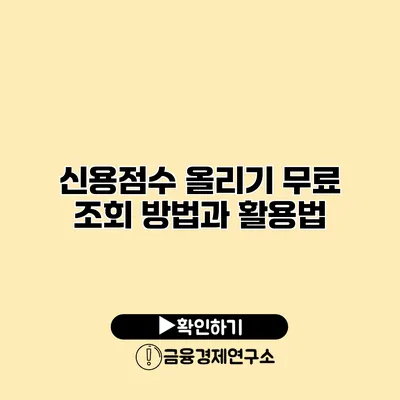 신용점수 올리기 무료 조회 방법과 활용법
