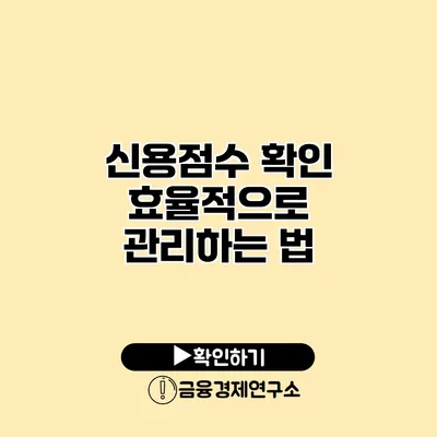 신용점수 확인 효율적으로 관리하는 법