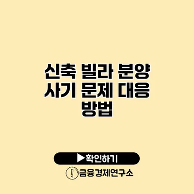 신축 빌라 분양 사기 문제 대응 방법