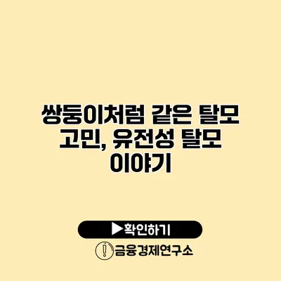 쌍둥이처럼 같은 탈모 고민, 유전성 탈모 이야기