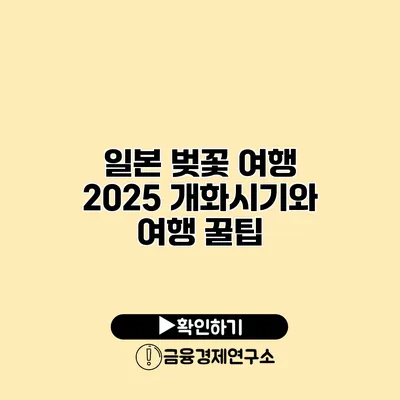 일본 벚꽃 여행 2025 개화시기와 여행 꿀팁