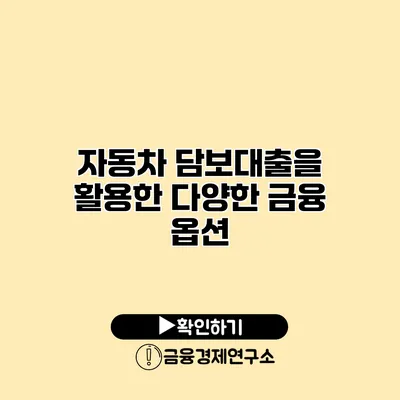 자동차 담보대출을 활용한 다양한 금융 옵션