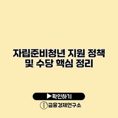 자립준비청년 지원 정책 및 수당 핵심 정리